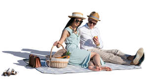 fancy couple having a picnic