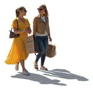 two cut out backlit young women with shopping bags walking and talking