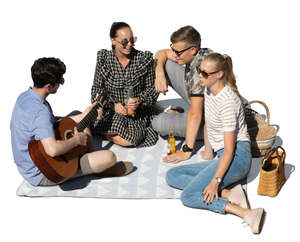 group of young people having a picnic seen from above