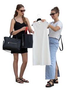 cut out two women standing in a store and looking at a dress