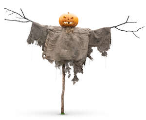 cut out halloween scarecrow in daylight