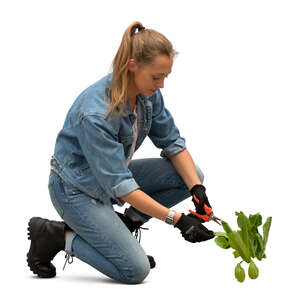 cut out woman cutting some plants in the garden
