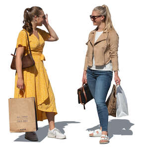 two cut out young women shopping and talking