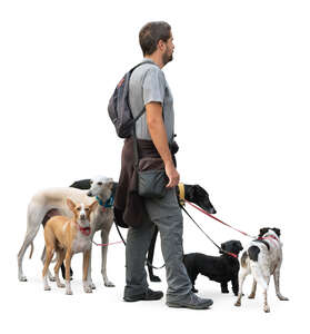 cut out man with five dogs standing