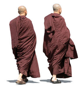 two buddha monks walking