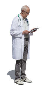cut out senior doctor standing and reading notes