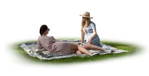 two cut out women sitting in a park on the grass under a tree shadow