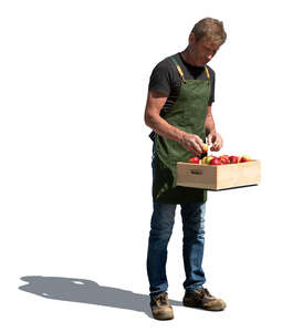 cut out man selling apples on the market