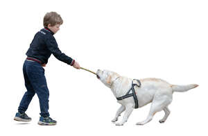 cut out boy playing with a dog
