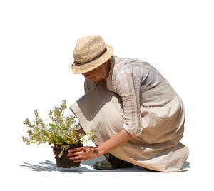 cut out woman squatting and planting flowers