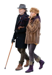 cut out elegant elderly couple in winter walking