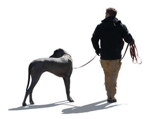 cut out backlit man walking a big dog