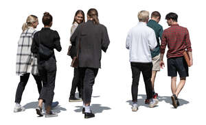 cut out group of young friends walking on the street