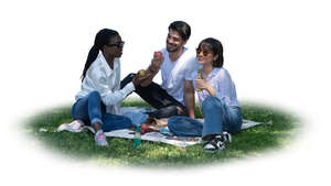 cut out group of friends having a picnic in park in tree shade