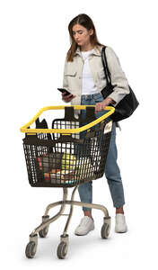 cut out woman with a shopping cart shopping groceries