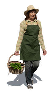 cut out senior woman in a garden carrying a basket full of greens