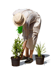 woman preparing to plant flowers in the garden