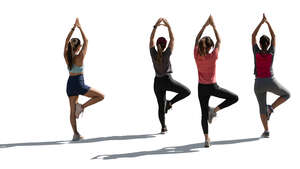 cut out backlit group of women working out