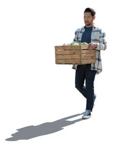 backlit asian gardener carrying a crate full of vegetables