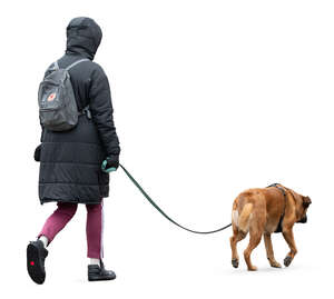 woman in a hooded jacket walking a dog