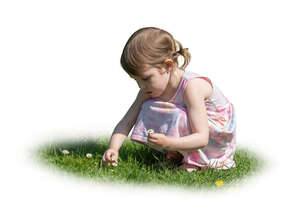 little girl picing flowers