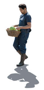 backlit man carrying a basket full of vegetables