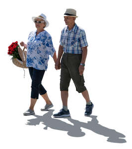 backlit elderly couple walking hand in hand