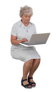 grey haired woman sitting and working with a computer