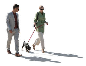 backlit elegant man and woman walking with a dog