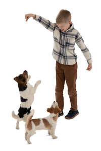 cut out little boy playing with dogs seen from above