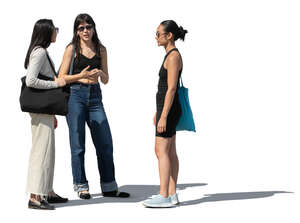 cut out group of women standing and talking
