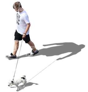 man walking a dog seen from above