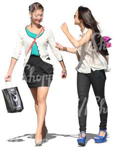 two women with shopping bags walking and talking