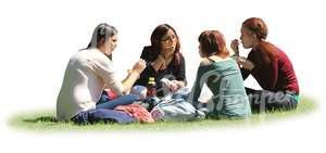 group of four women sitting on the grass and having a picnic