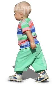 toddler in green trousers walking