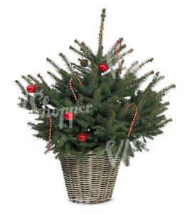 cut out decorated small christmas tree in a basket