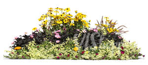 cut out flowerbed