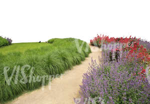 foreground flowerbed in a park