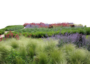 cut out foreground with grass and flowers