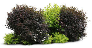 cut out group of bushes