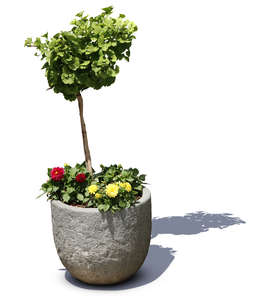 small plant and flowers in a stone pot