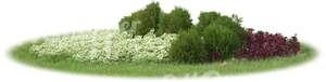 flowerbed with white flowers