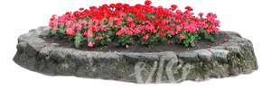 round red flowerbed with stone edging