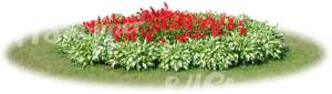 round flowerbed with red flowers