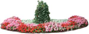 large flowerbed with red flowers