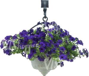 cut out hanging basket with blue flowers