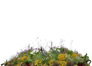 cut out foreground flowerbed