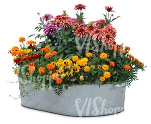 basin full of flowers