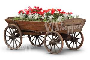 cut out flowerbed in an old carriage