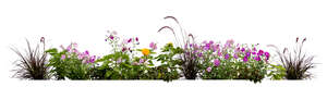 cut out flowerbed of different blooming flowers